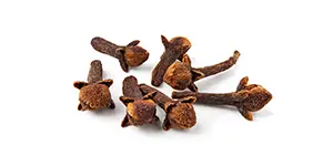 Organic Clove Bud Image of cloves